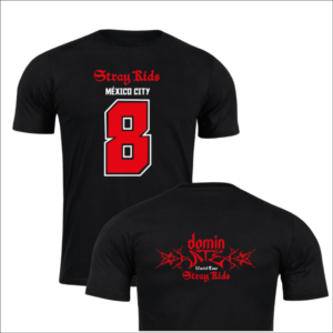 Stray kids Dominate Tour