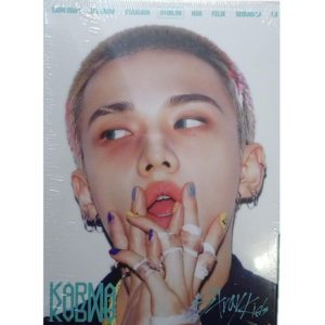 Álbum Acordeon Karma Stray Kids