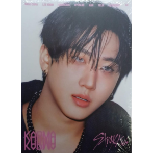 Álbum Acordeon Karma Stray Kids