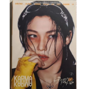 Álbum Acordeon Karma Stray Kids